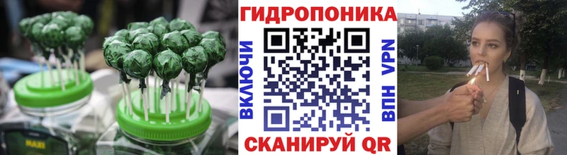Cannafood конопля  кракен сайт  Мурманск 