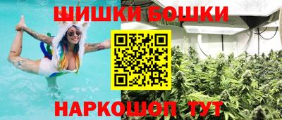 шишки Гагарин