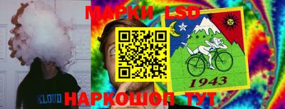 шишки Гагарин