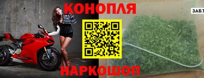 шишки Гагарин