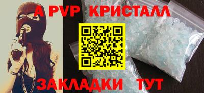 СК Гатчина