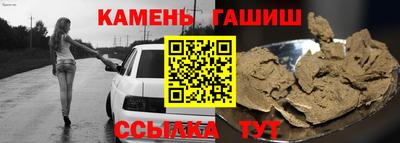 СК Гатчина