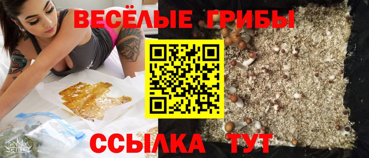 Галлюциногенные грибы мухоморы Мурманск