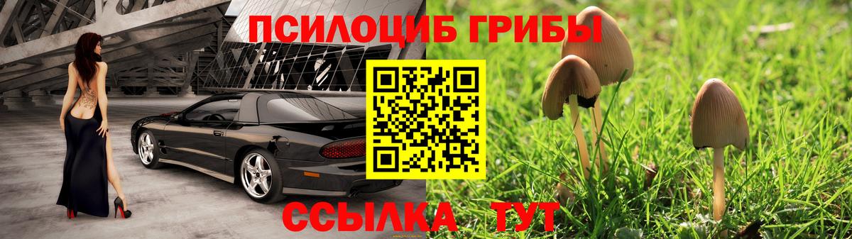 продажа наркотиков  Вход с VPN  Мурманск  Галлюциногенные грибы прущие грибы 
